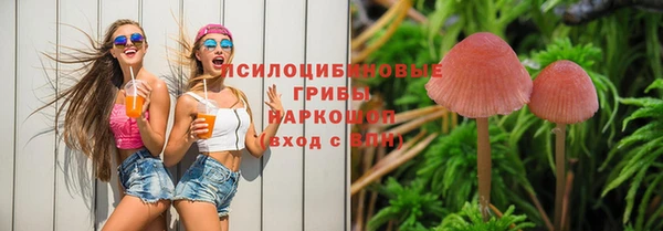гашик Липки