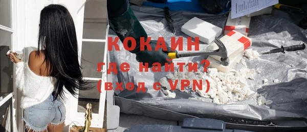 гашик Липки