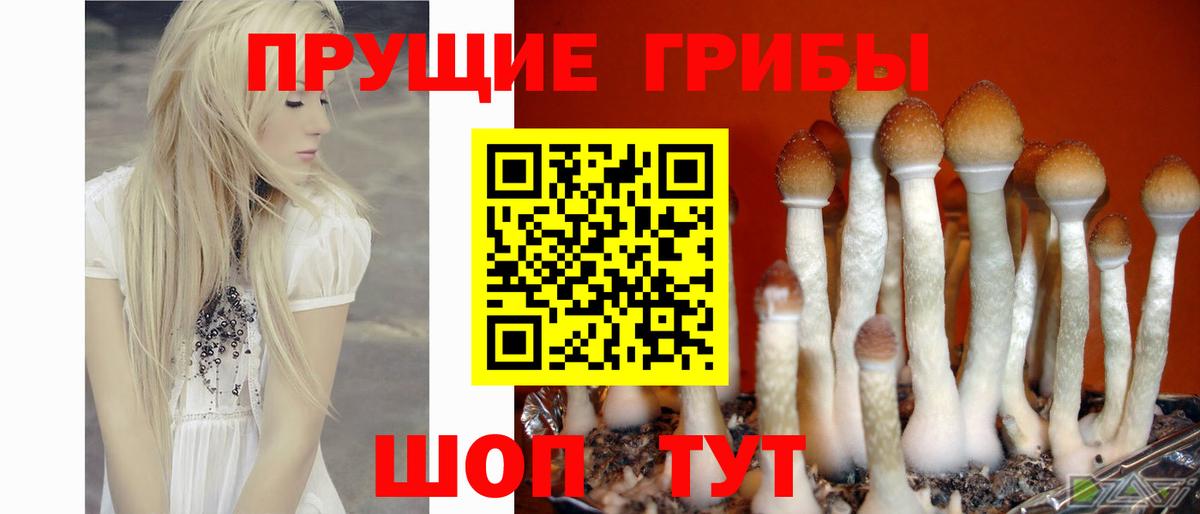 Новоуральск  Псилоцибиновые грибы MAGIC MUSHROOMS  Вход с VPN 